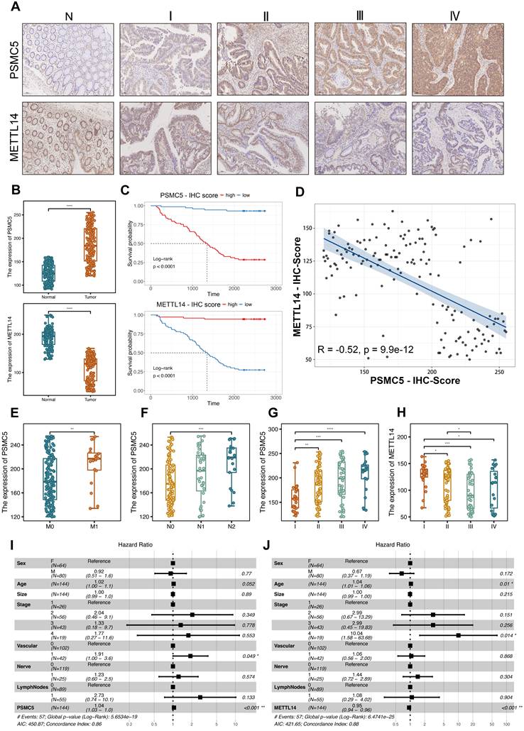 Int J Biol Sci Image