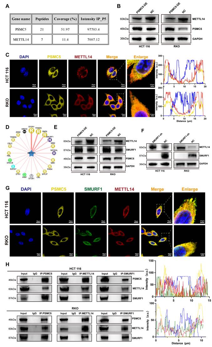 Int J Biol Sci Image