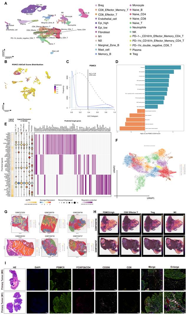 Int J Biol Sci Image
