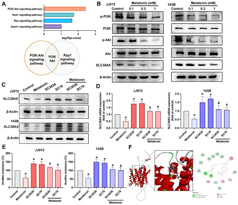 Int J Biol Sci Image