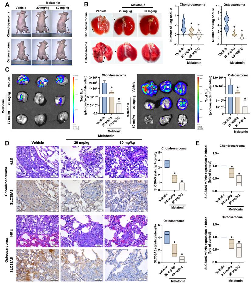 Int J Biol Sci Image