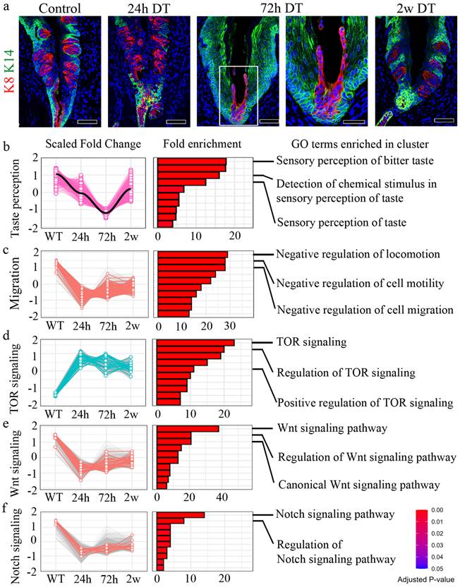 Int J Biol Sci Image