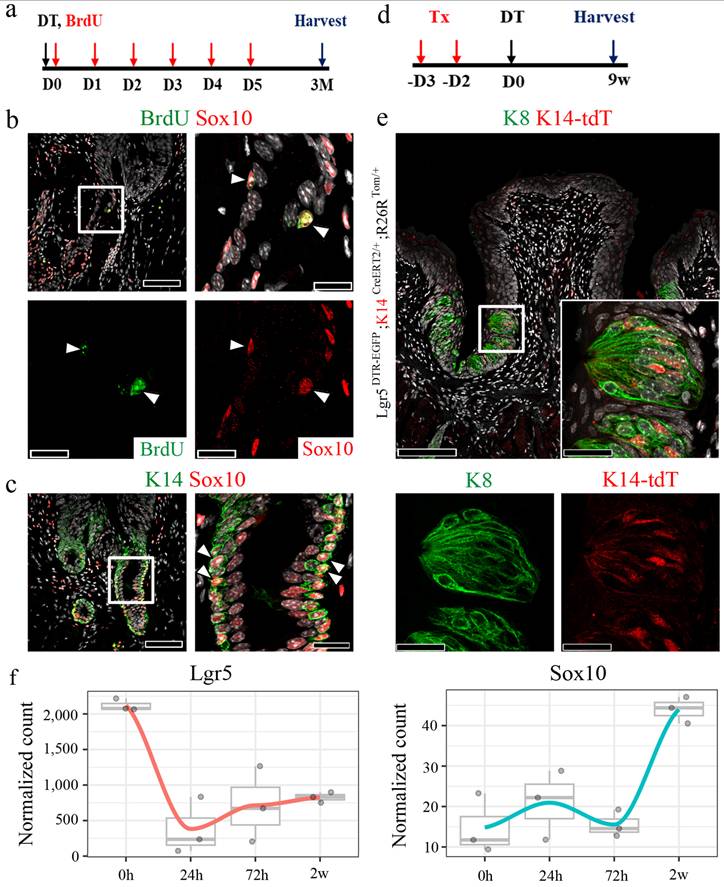 Int J Biol Sci Image