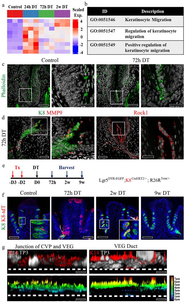 Int J Biol Sci Image