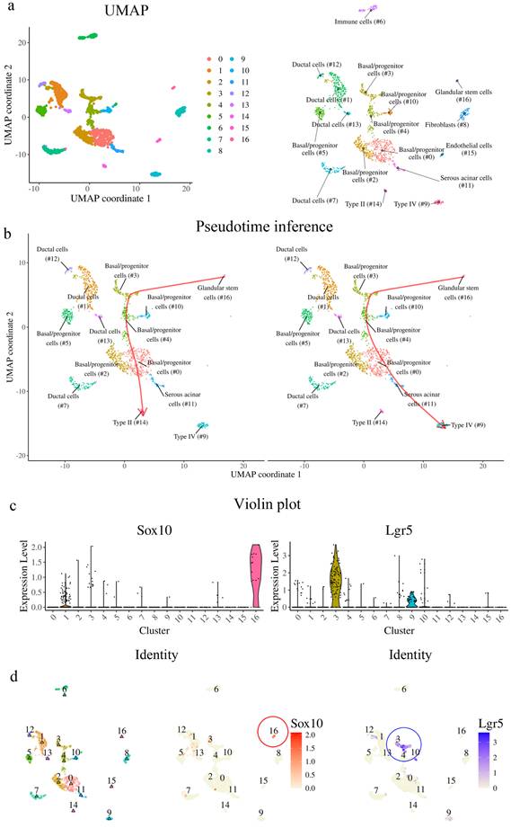 Int J Biol Sci Image