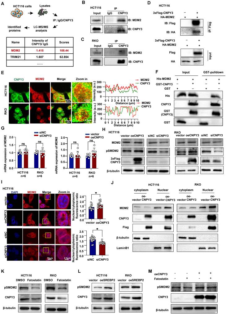 Int J Biol Sci Image
