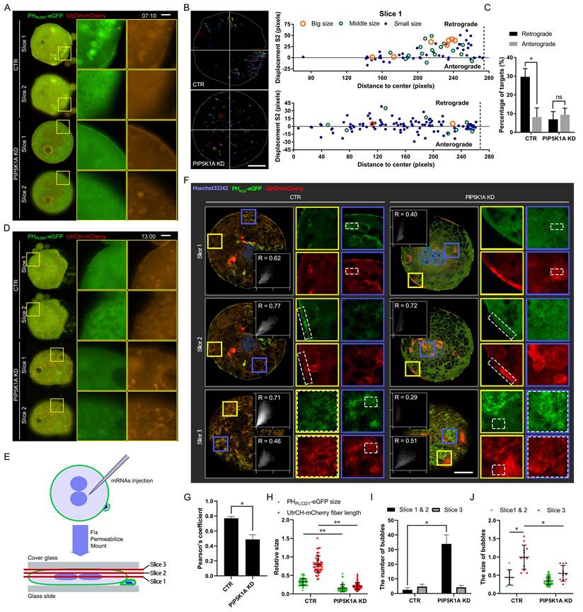 Int J Biol Sci Image