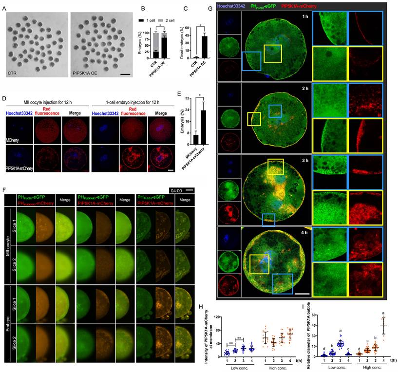 Int J Biol Sci Image