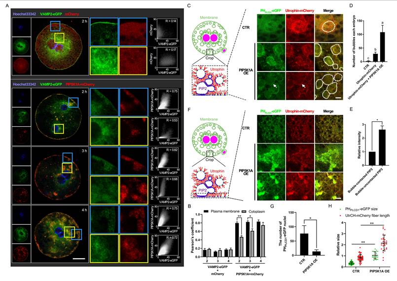 Int J Biol Sci Image
