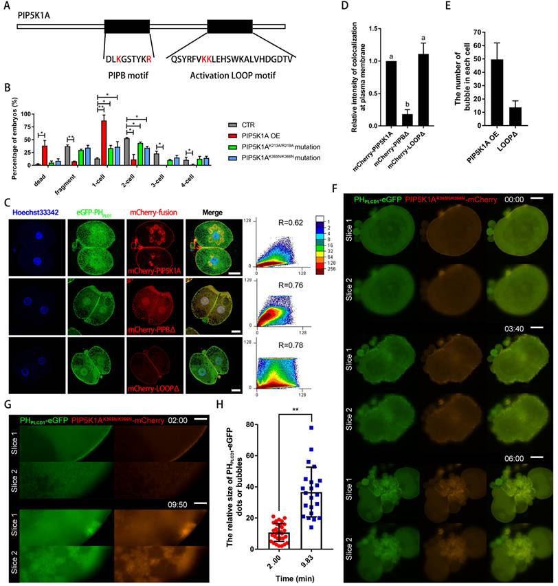 Int J Biol Sci Image