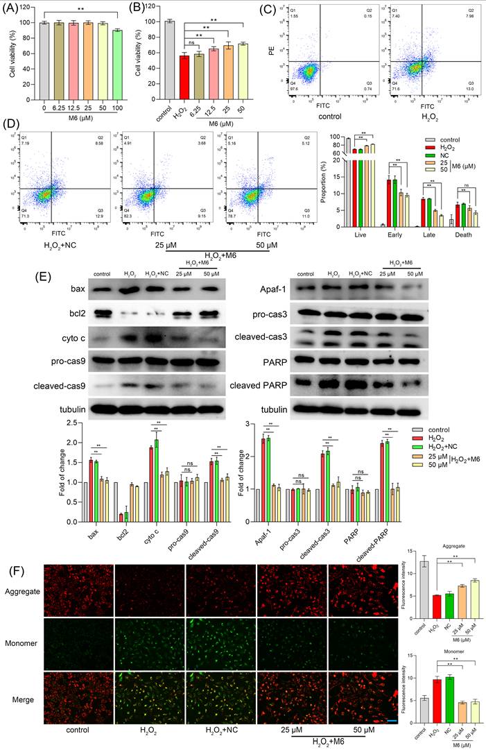 Int J Biol Sci Image