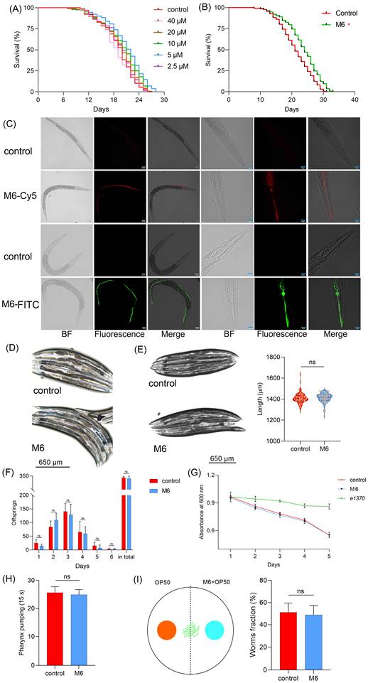Int J Biol Sci Image