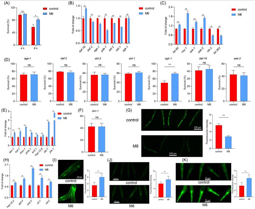 Int J Biol Sci Image