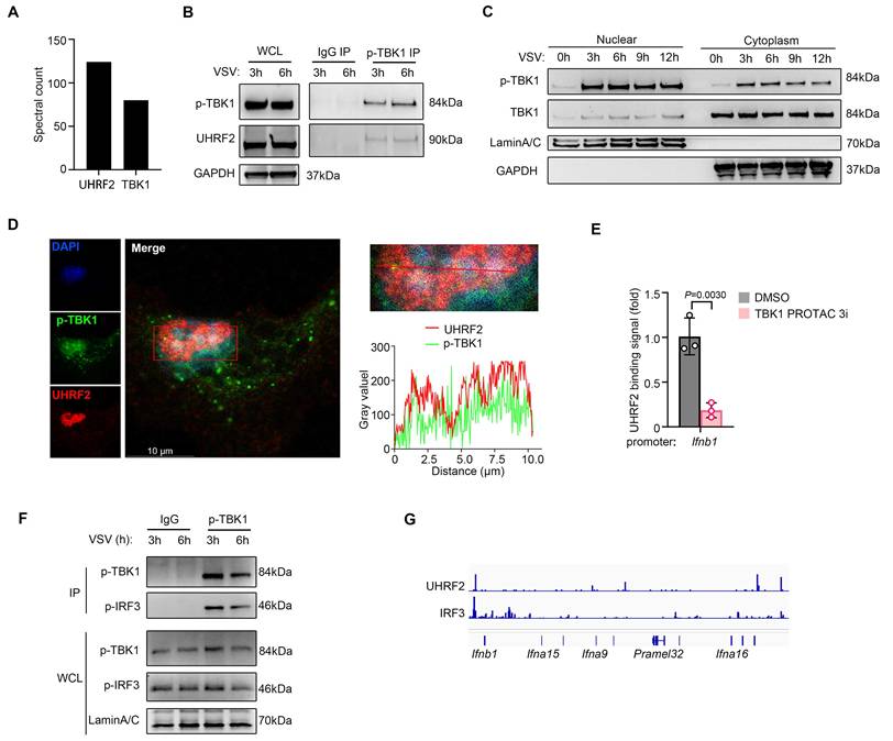 Int J Biol Sci Image
