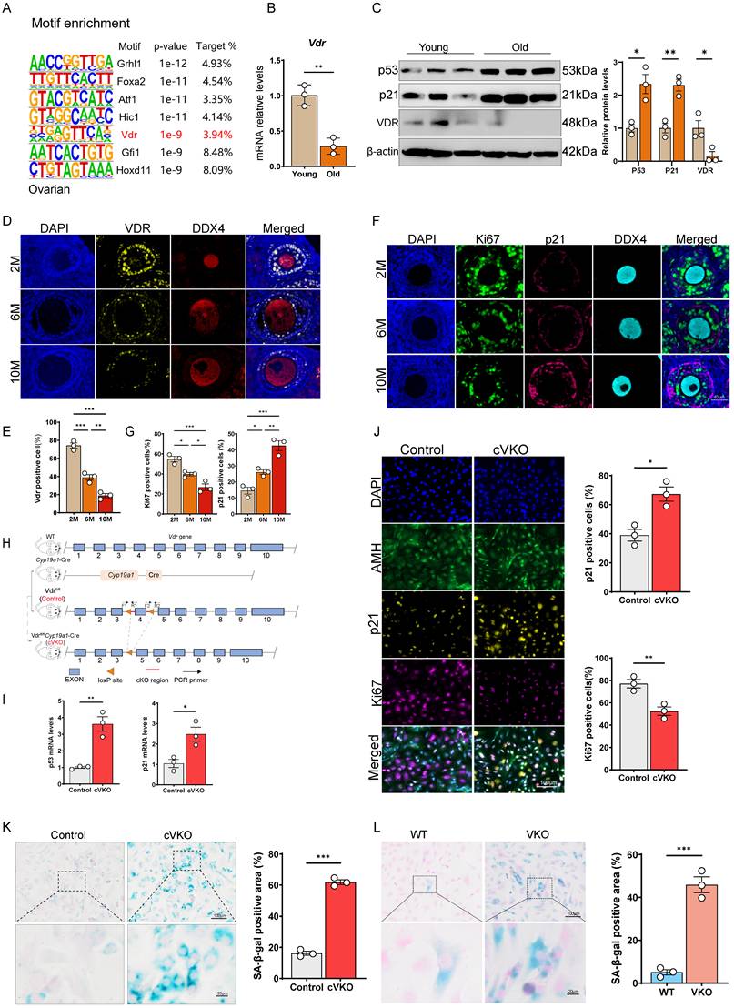 Int J Biol Sci Image