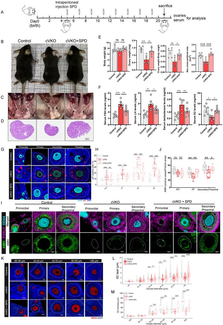 Int J Biol Sci Image