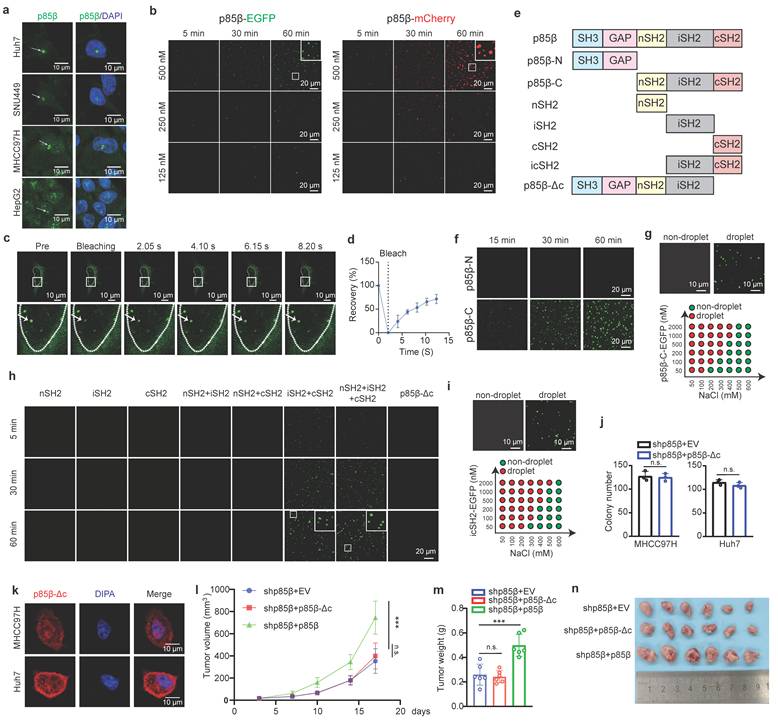 Int J Biol Sci Image