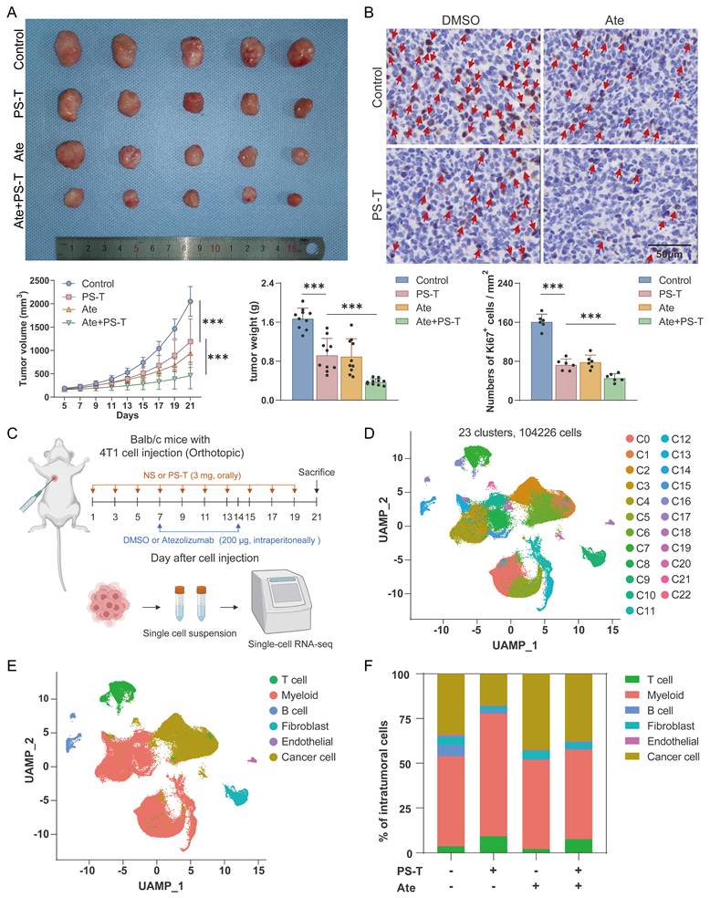 Int J Biol Sci Image