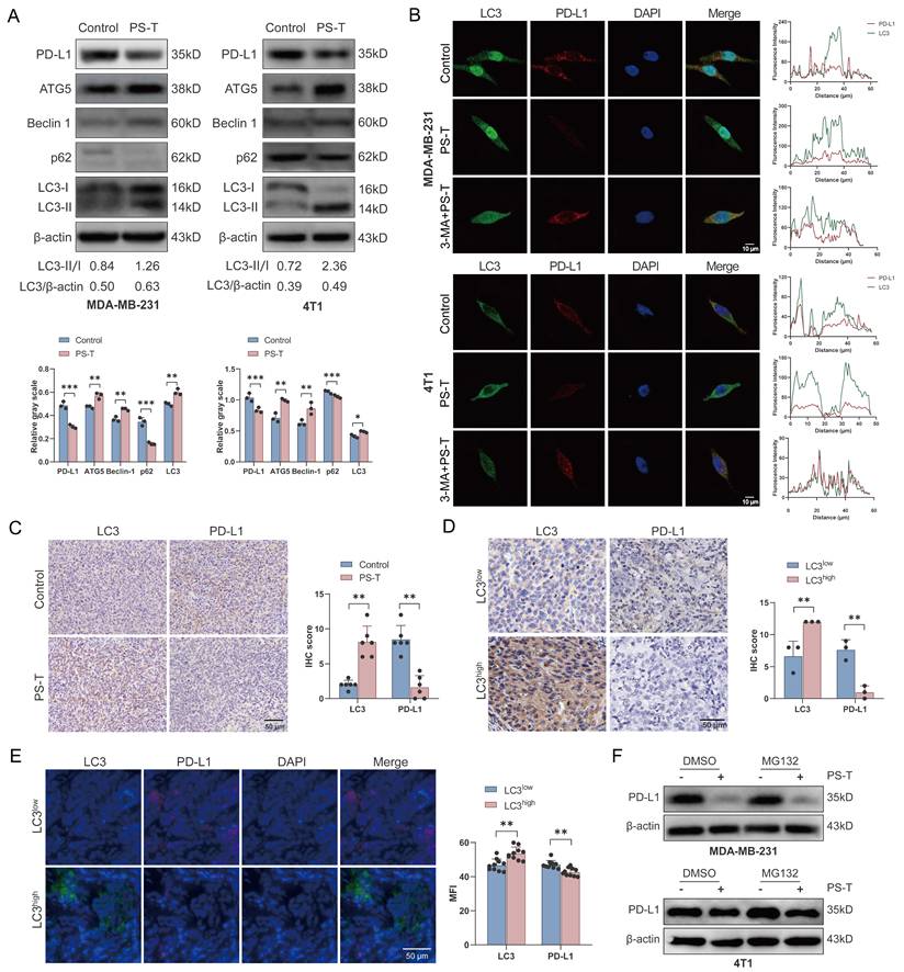 Int J Biol Sci Image