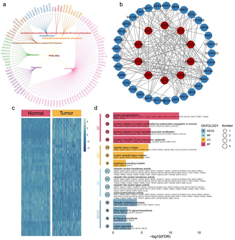 Int J Biol Sci Image