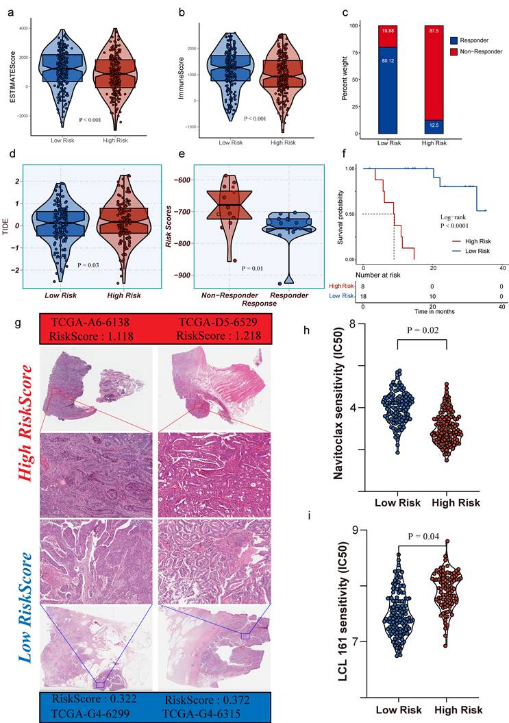 Int J Biol Sci Image