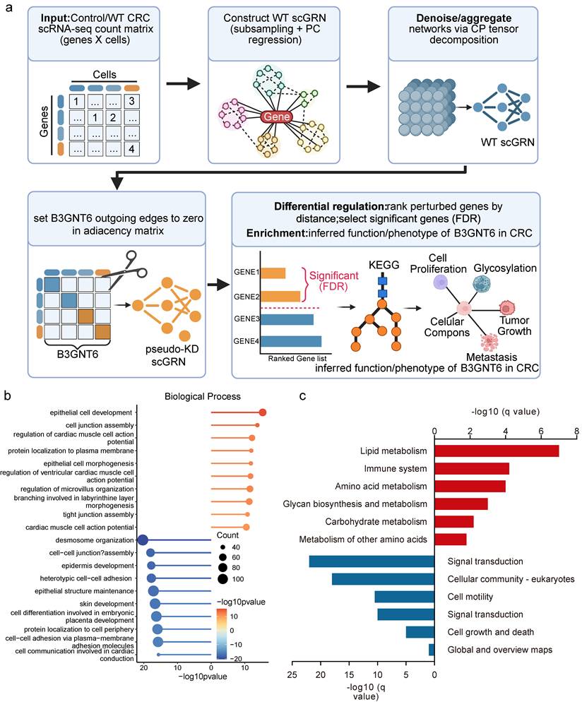 Int J Biol Sci Image