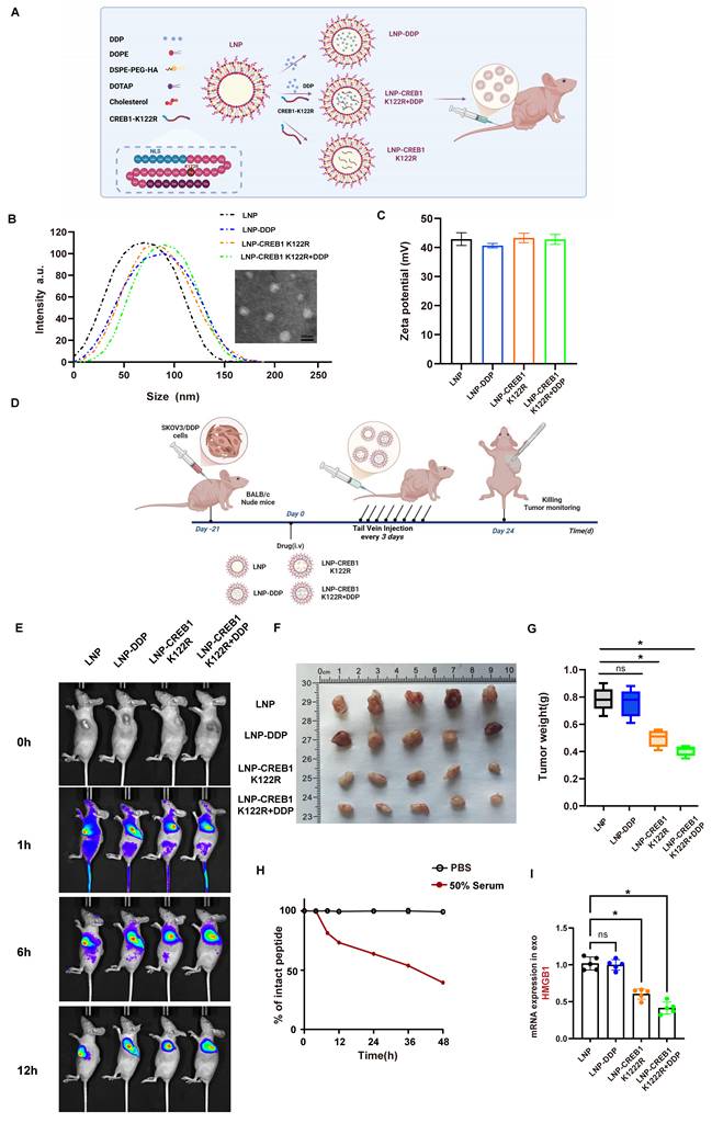 Int J Biol Sci Image