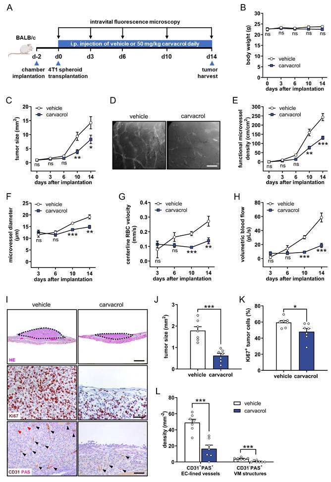 Int J Biol Sci Image