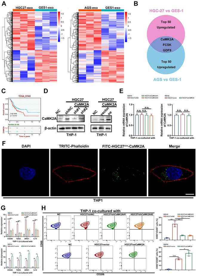 Int J Biol Sci Image