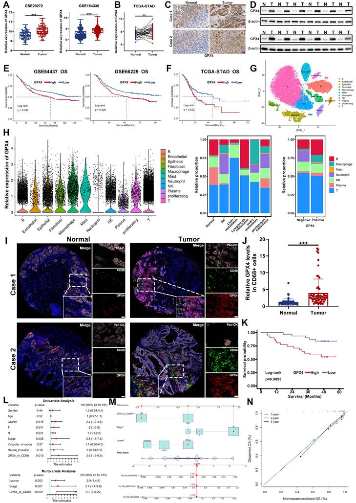 Int J Biol Sci Image