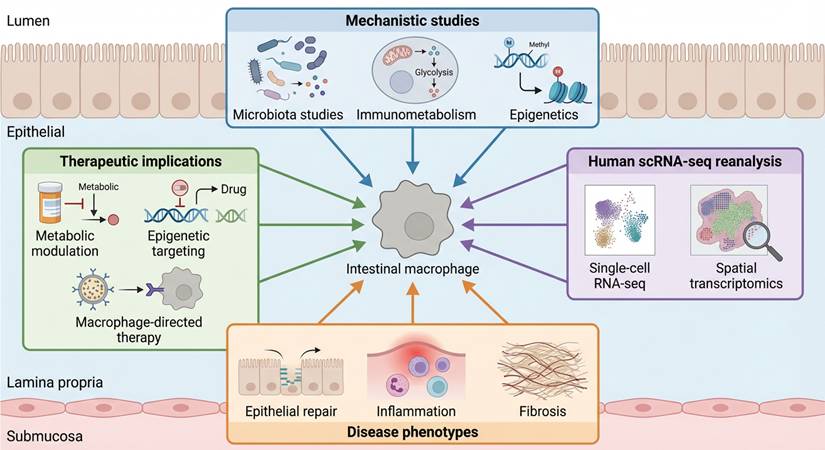 Int J Biol Sci Image