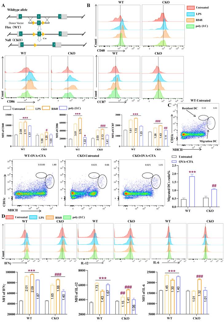 Int J Biol Sci Image