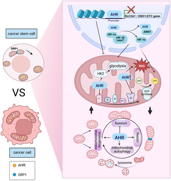 Int J Biol Sci Image