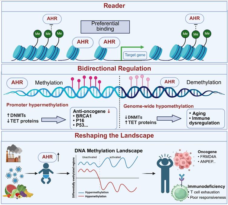 Int J Biol Sci Image