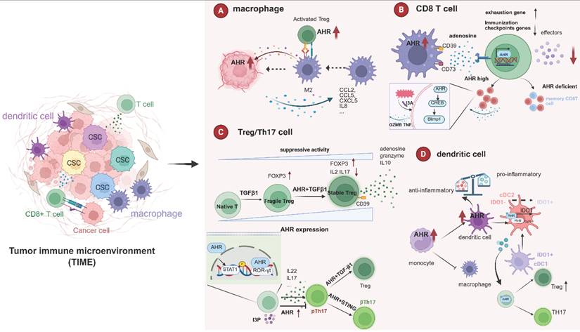 Int J Biol Sci Image