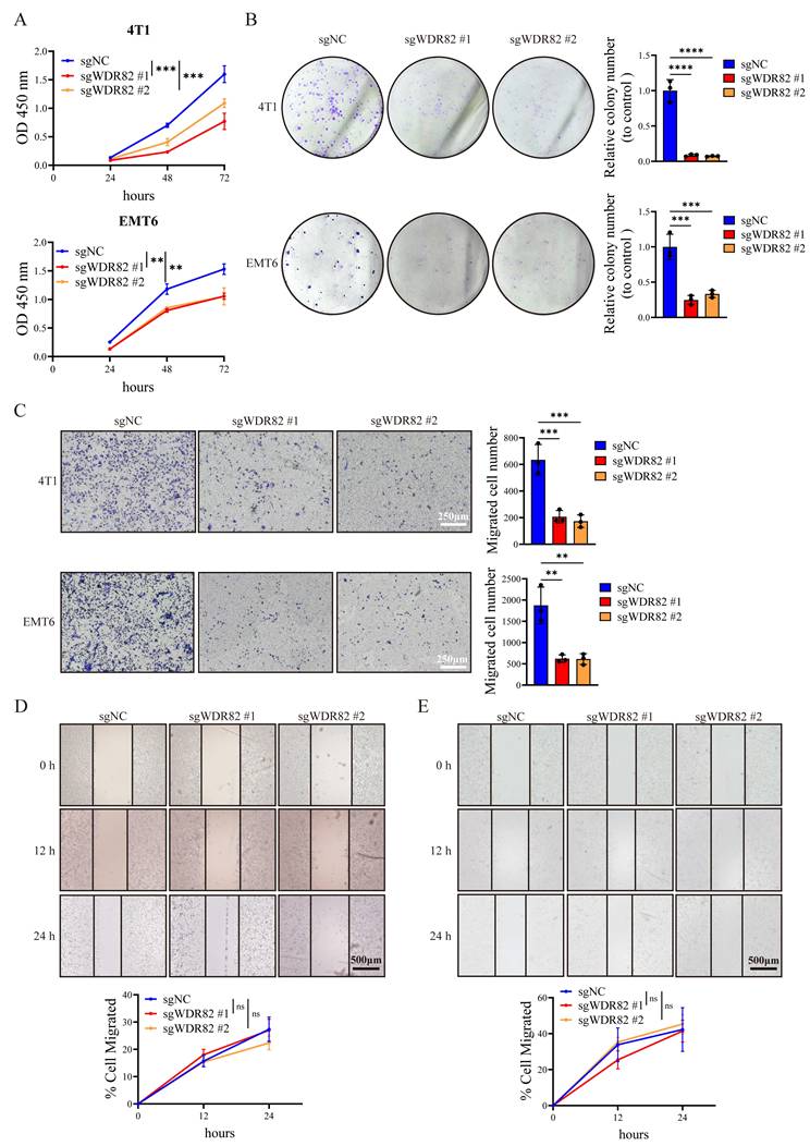 Int J Biol Sci Image