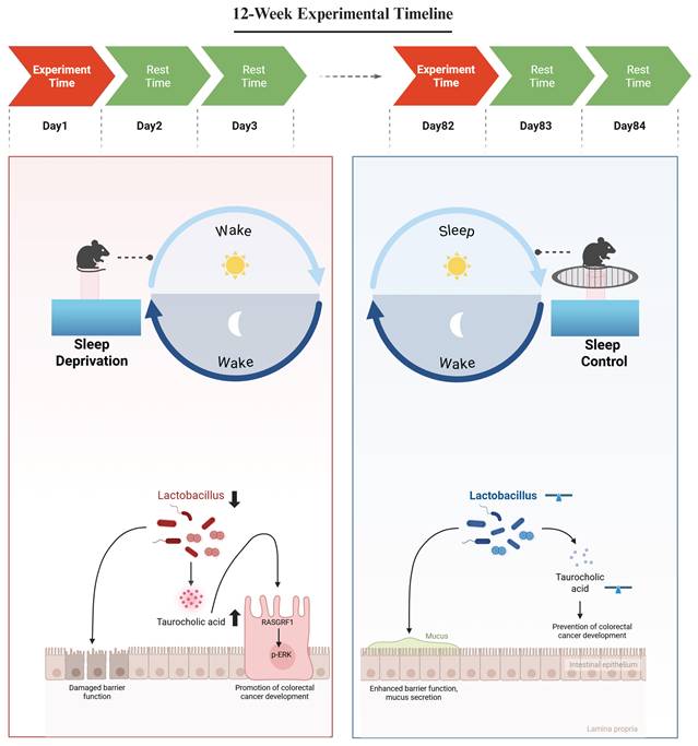Int J Biol Sci Image