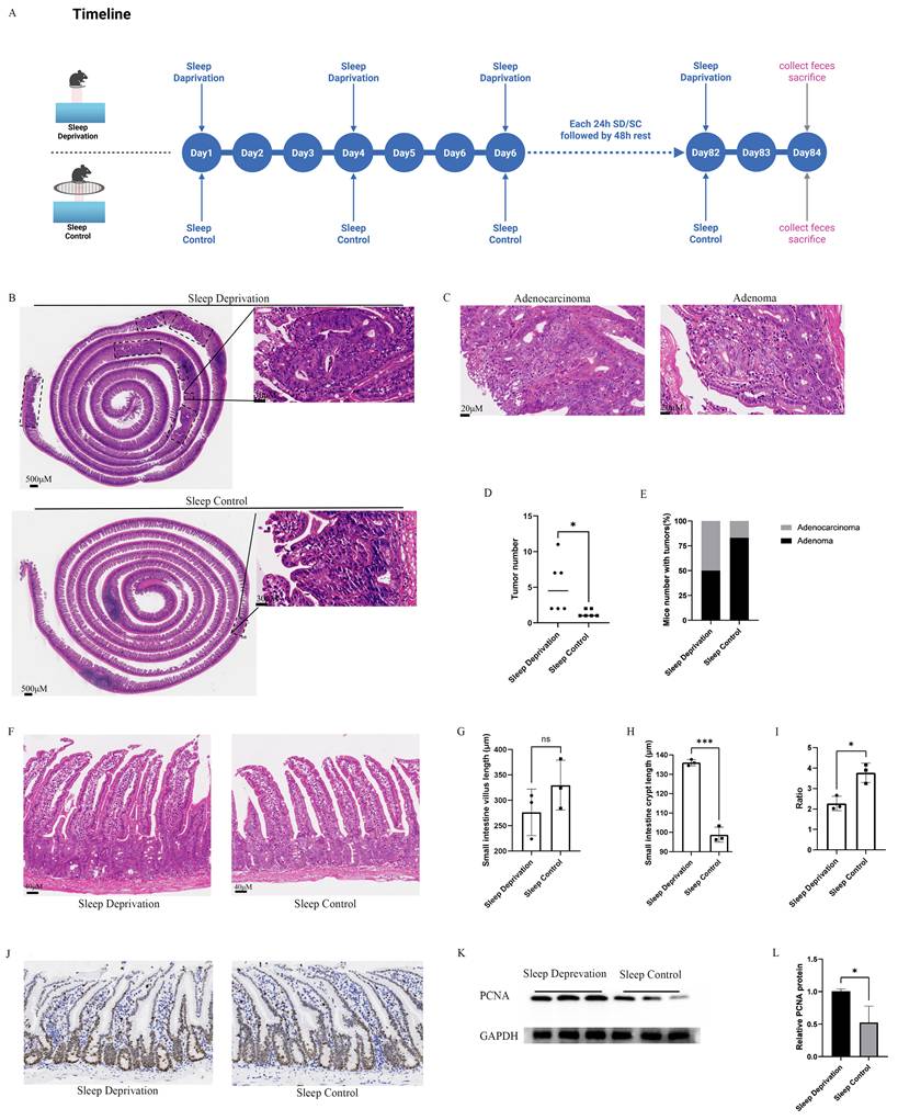 Int J Biol Sci Image