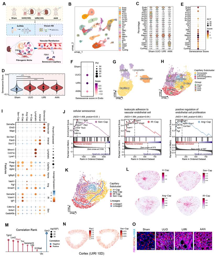 Int J Biol Sci Image