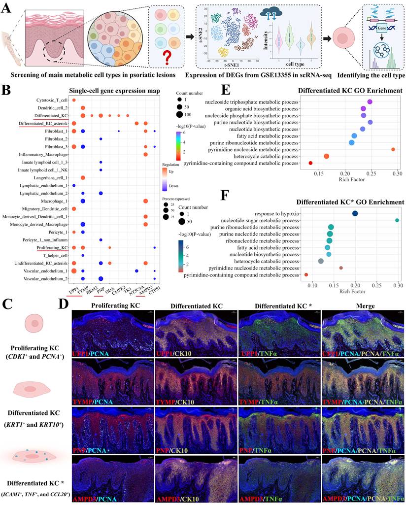 Int J Biol Sci Image