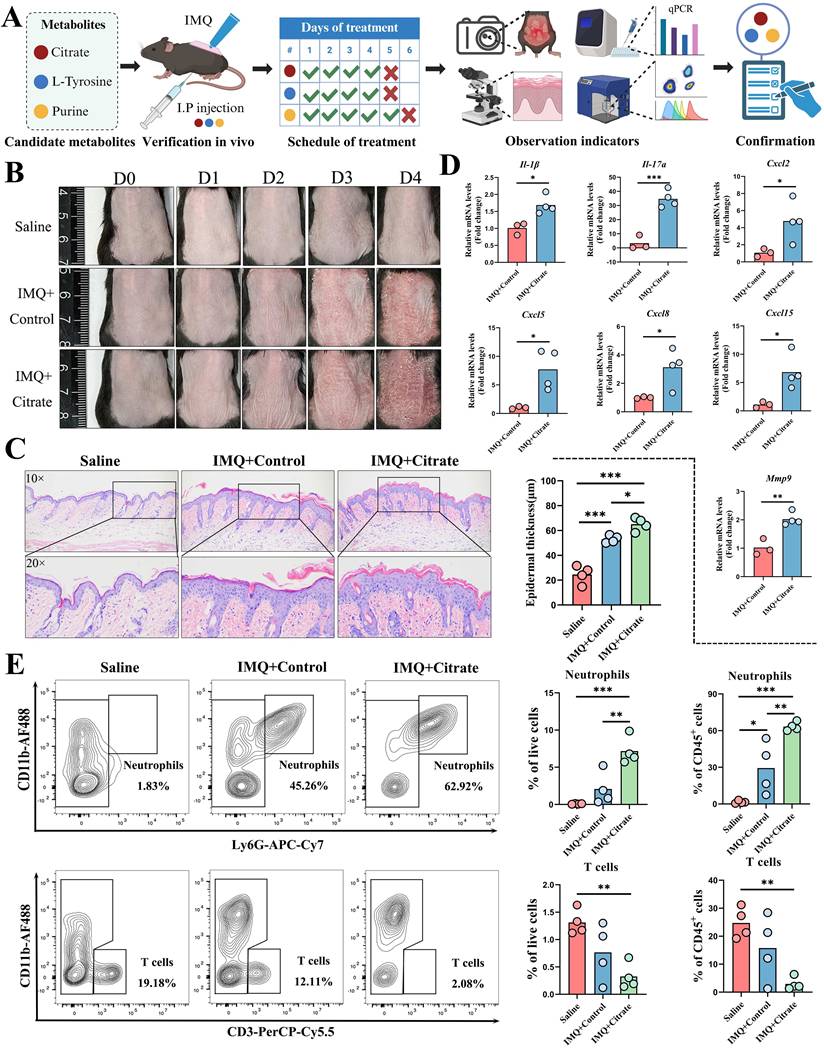 Int J Biol Sci Image