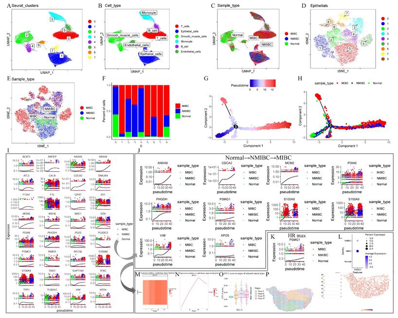 Int J Biol Sci Image