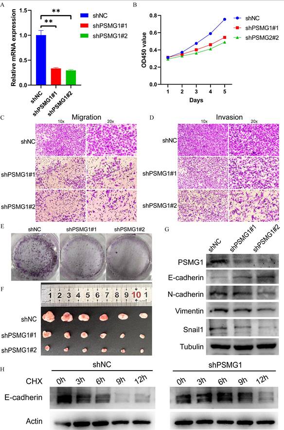 Int J Biol Sci Image