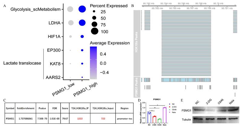 Int J Biol Sci Image