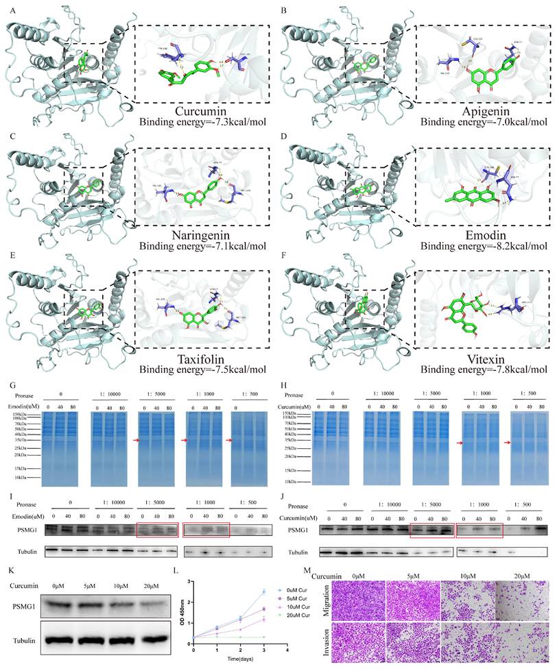 Int J Biol Sci Image