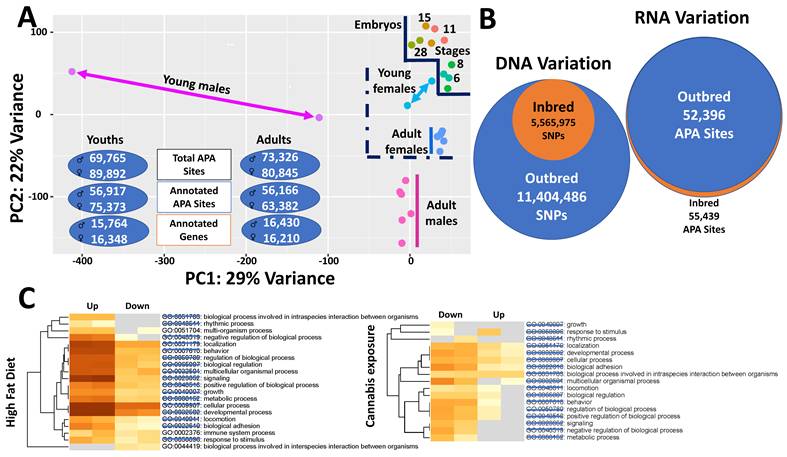 Int J Biol Sci Image