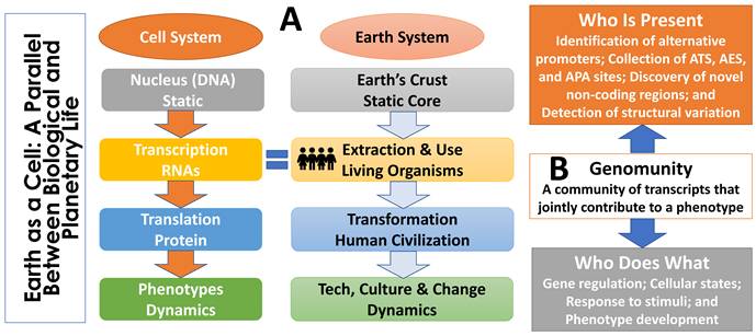 Int J Biol Sci Image