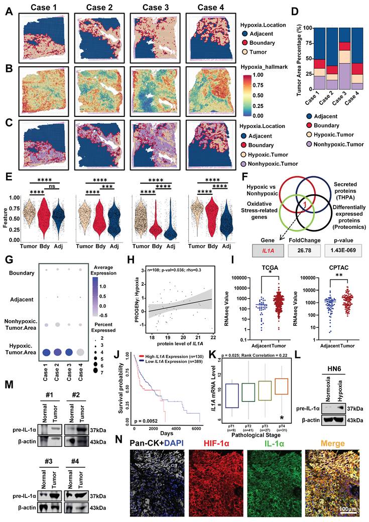 Int J Biol Sci Image
