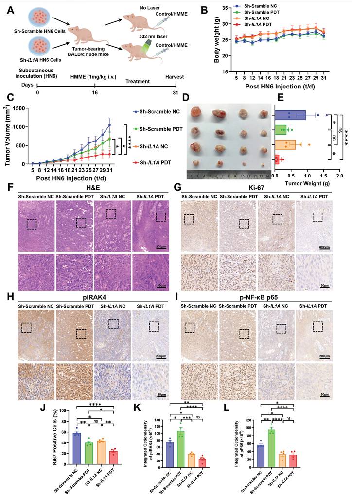 Int J Biol Sci Image