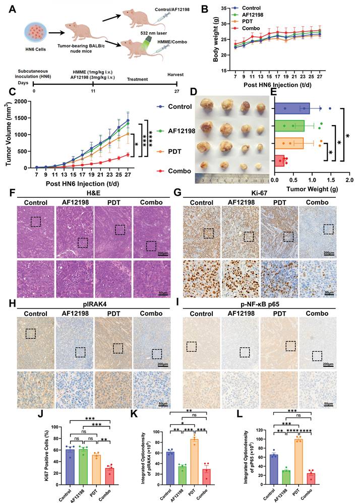 Int J Biol Sci Image